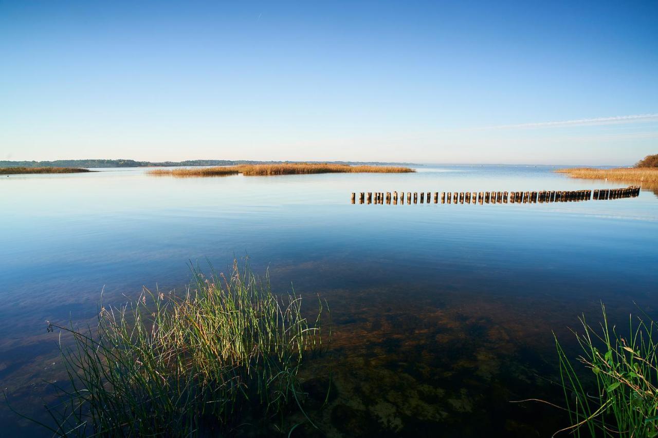 Les Cottages Du Lac Parentis-en-Born Eksteriør bilde