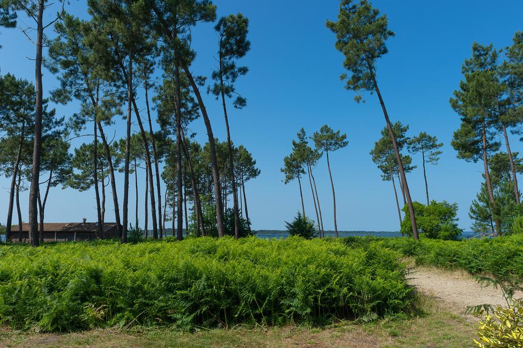Les Cottages Du Lac Parentis-en-Born Eksteriør bilde